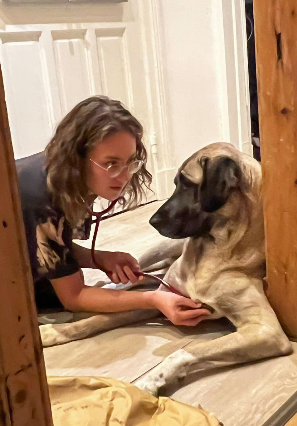 Lissy Malethan Blick in einen Flur, durch den Türiengang fotogrfaiert: Lissy Malethan eine junge Frau kniet auf dem Boden gegenüber eines liegenden großen Hundes. Sie hört den Hund mit einem Stethoskop ab.