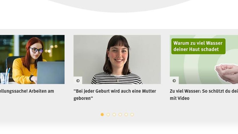 Screenshot der Themengalerie auf der Website